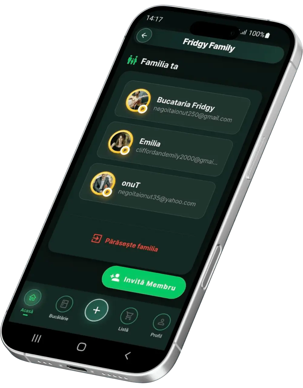 Logo aplicație FridgyChef