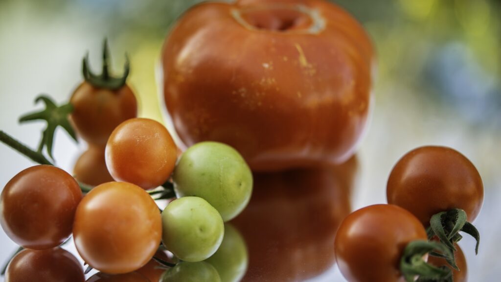 Monitorizezi expirarea alimentelor în FridgyChef